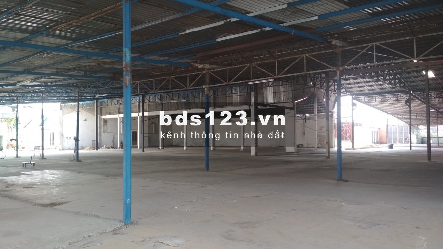 Cho thuê nhà xưởng đường Thanh Niên, Hóc Môn, diện tích hơn 11.000m2, giá tốt nhất Hóc Môn