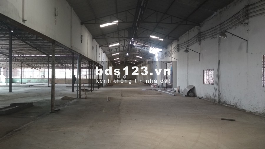 Cho thuê nhà xưởng đường Thanh Niên, Hóc Môn, diện tích hơn 11.000m2, giá tốt nhất Hóc Môn
