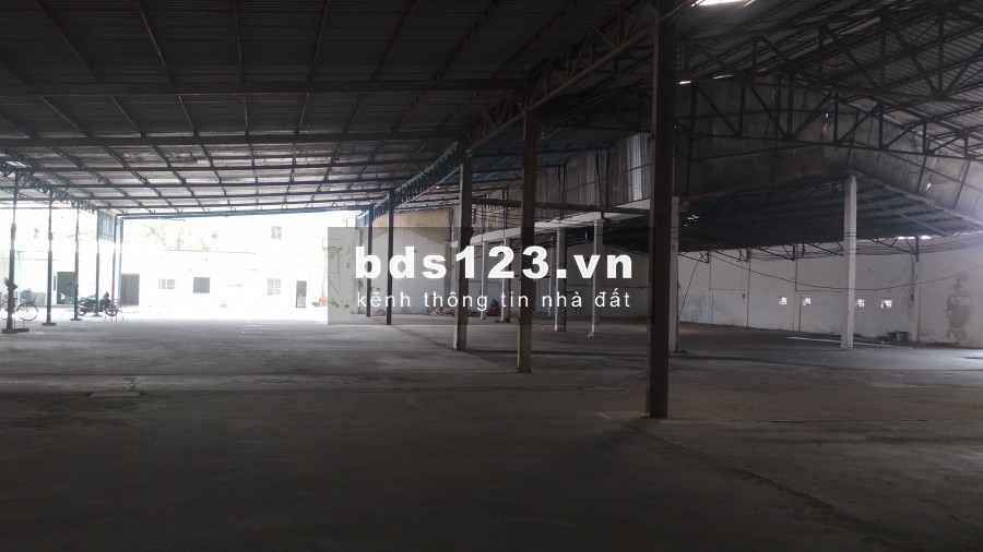 Cho thuê nhà xưởng đường Thanh Niên, Hóc Môn, diện tích hơn 11.000m2, giá tốt nhất Hóc Môn