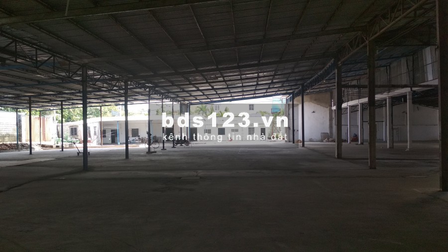 Cho thuê nhà xưởng đường Thanh Niên, Hóc Môn, diện tích hơn 11.000m2, giá tốt nhất Hóc Môn