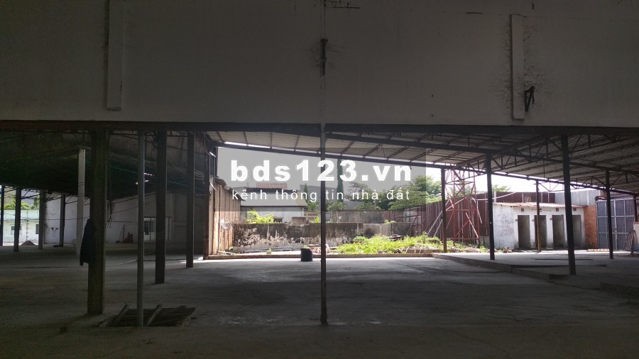 Cho thuê nhà xưởng đường Thanh Niên, Hóc Môn, diện tích hơn 11.000m2, giá tốt nhất Hóc Môn