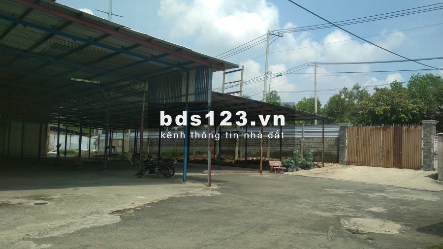 Cho thuê nhà xưởng đường Thanh Niên, Hóc Môn, diện tích hơn 11.000m2, giá tốt nhất Hóc Môn