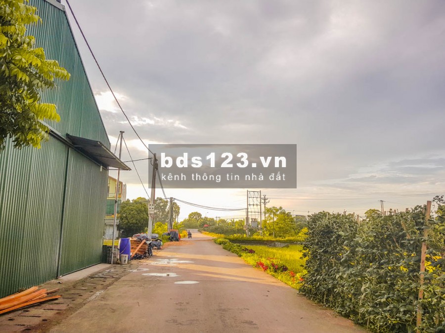 Bán đất thổ cư Quốc Oai – Ngọc Bài – giá chính chủ sát đường đại lộ