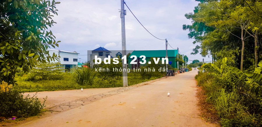Bán đất thổ cư Quốc Oai – Ngọc Bài – giá chính chủ sát đường đại lộ