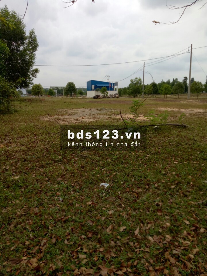 Gia đình tôi cần bán lại lô đất 390m2 đã tách thửa riêng, dường nhựa rộng. Giá bán 650 triệu