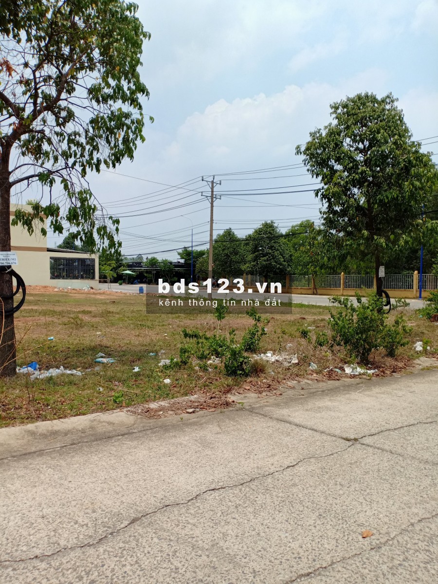 Vợ chồng tôi có lô đất 297m2 đã có sổ riêng. Cần bán lại 900 triệu (còn thương lượng)
