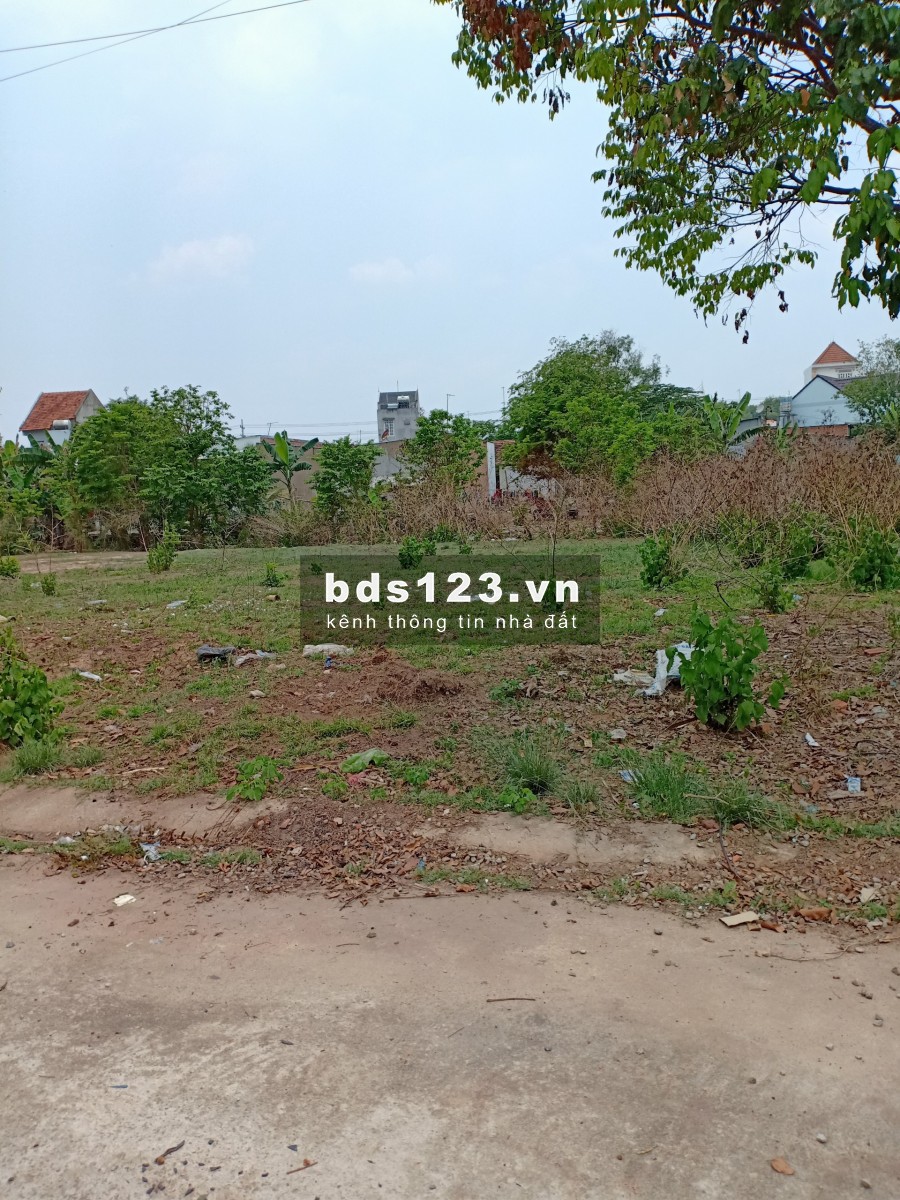 Vợ chồng tôi có lô đất 297m2 đã có sổ riêng. Cần bán lại 900 triệu (còn thương lượng)