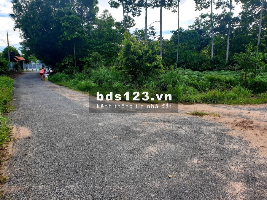 Bán đất sào mặt đường Phước Bình, ấp 1, gần sân bay Long Thành. 1tr/1m2