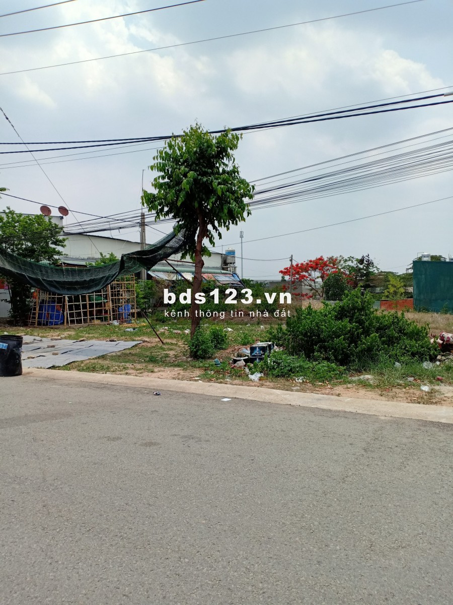 Cần bán lại lô đất chính chủ 500m2. Giá bán 950 triệu bao sang tên công chứng