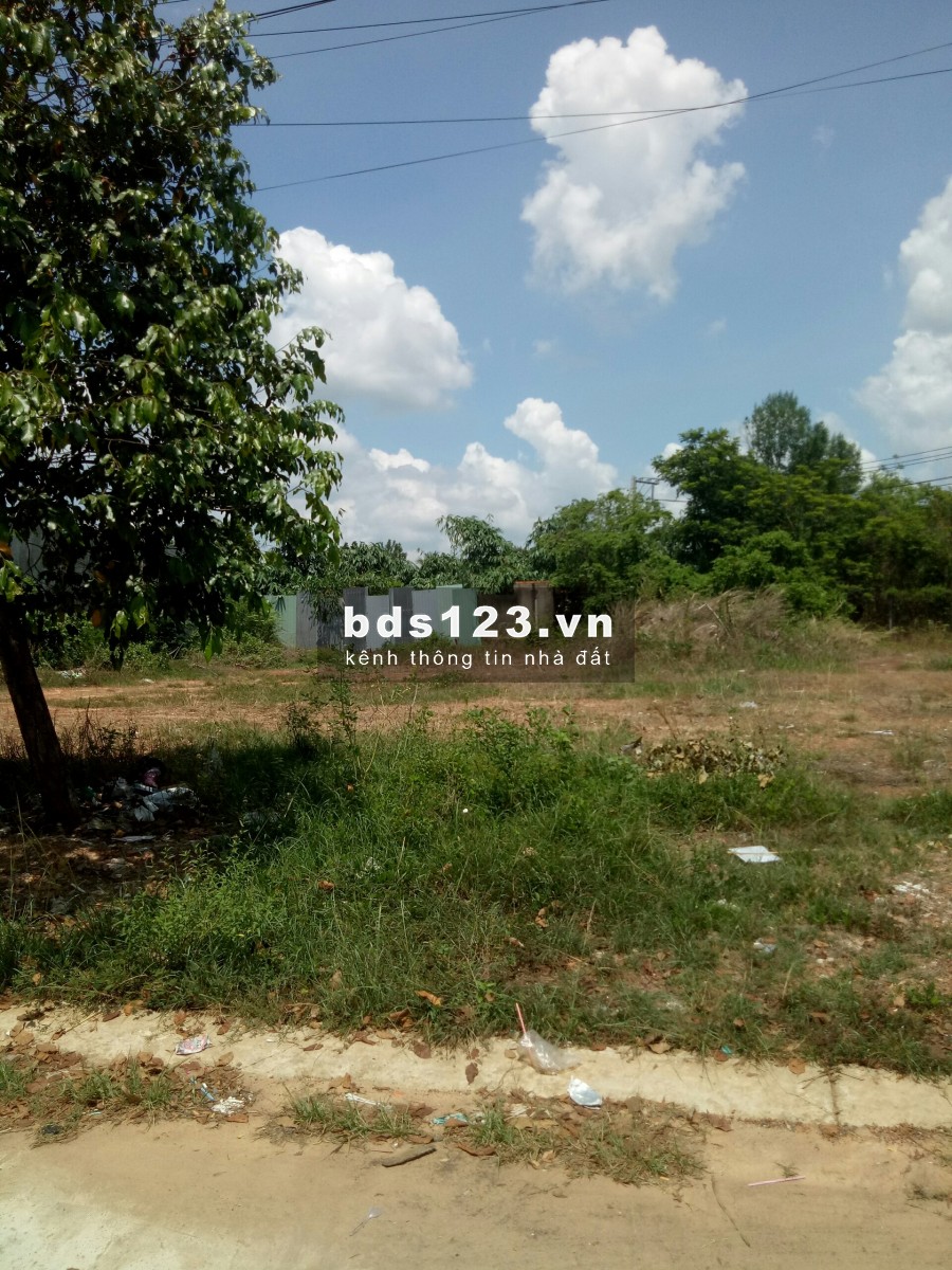 2 vợ chồng cần bán lại lô đất 390m2 có sổ sẫn. Giá bán 770 triệu (thương lượng