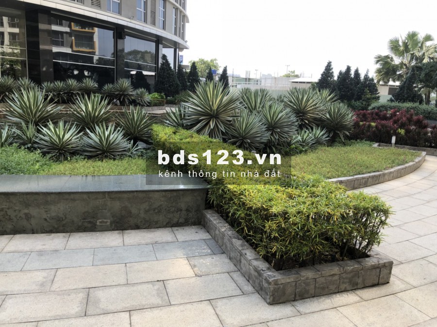 Bán căn hộ Sài Gòn Airport Plaza, 2pn dt 4.05 Tỷ, Đủ Nội Thất. Hotline Pkd 0909 255 622