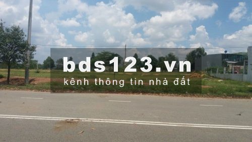 Gia đình tôi có 2 lô đất 230m2 cần bán lại giá 680 triệu gấp ngay trong tuần