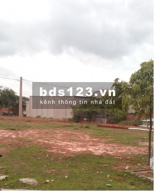 Gia đình tôi có 2 lô đất 230m2 cần bán lại giá 680 triệu gấp ngay trong tuần