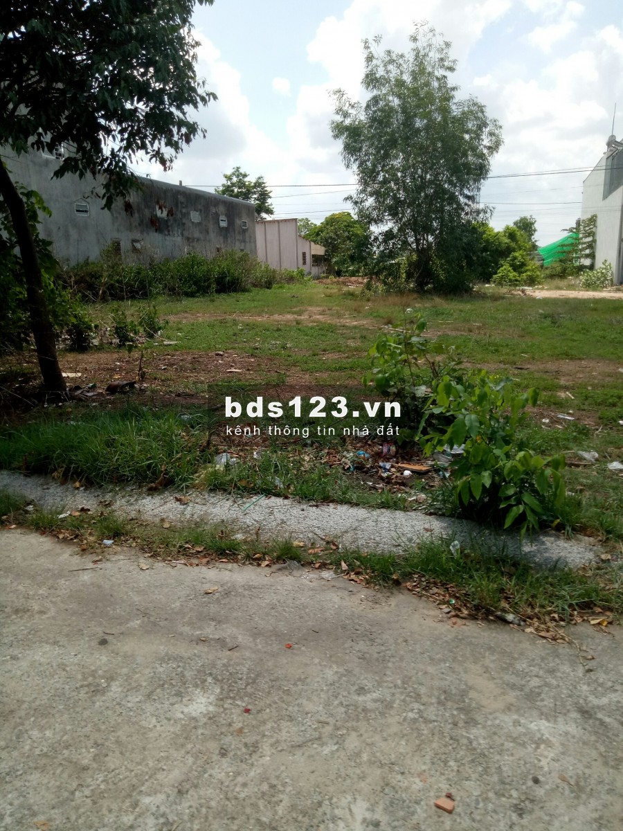 Cần bán gấp đất trả nợ ngân hàng. Lô đất 825m2 đã tách thửa riêng. Cần bán 800 triệu