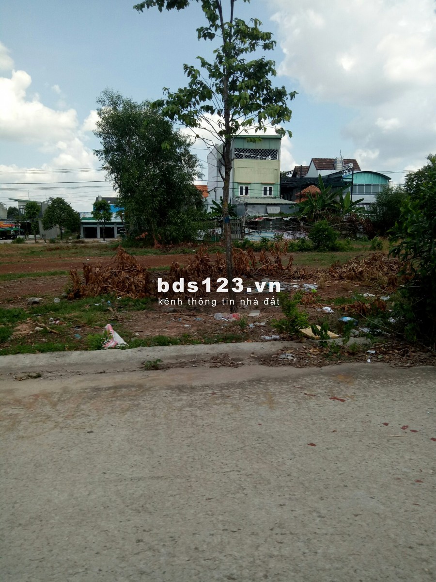 Cần bán gấp đất trả nợ ngân hàng. Lô đất 825m2 đã tách thửa riêng. Cần bán 800 triệu