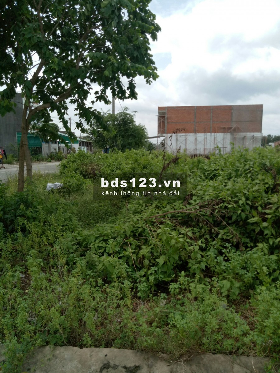 Đất trong khu công nghiệp gần nhiều cty lớn. DT 208m2 cần bán nhanh 755 triệu