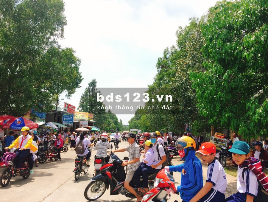 Thanh lý đất nền mặt tiền đại học Quốc tế Việt Đức Bình Dương sổ hồng, thổ cư 100%
