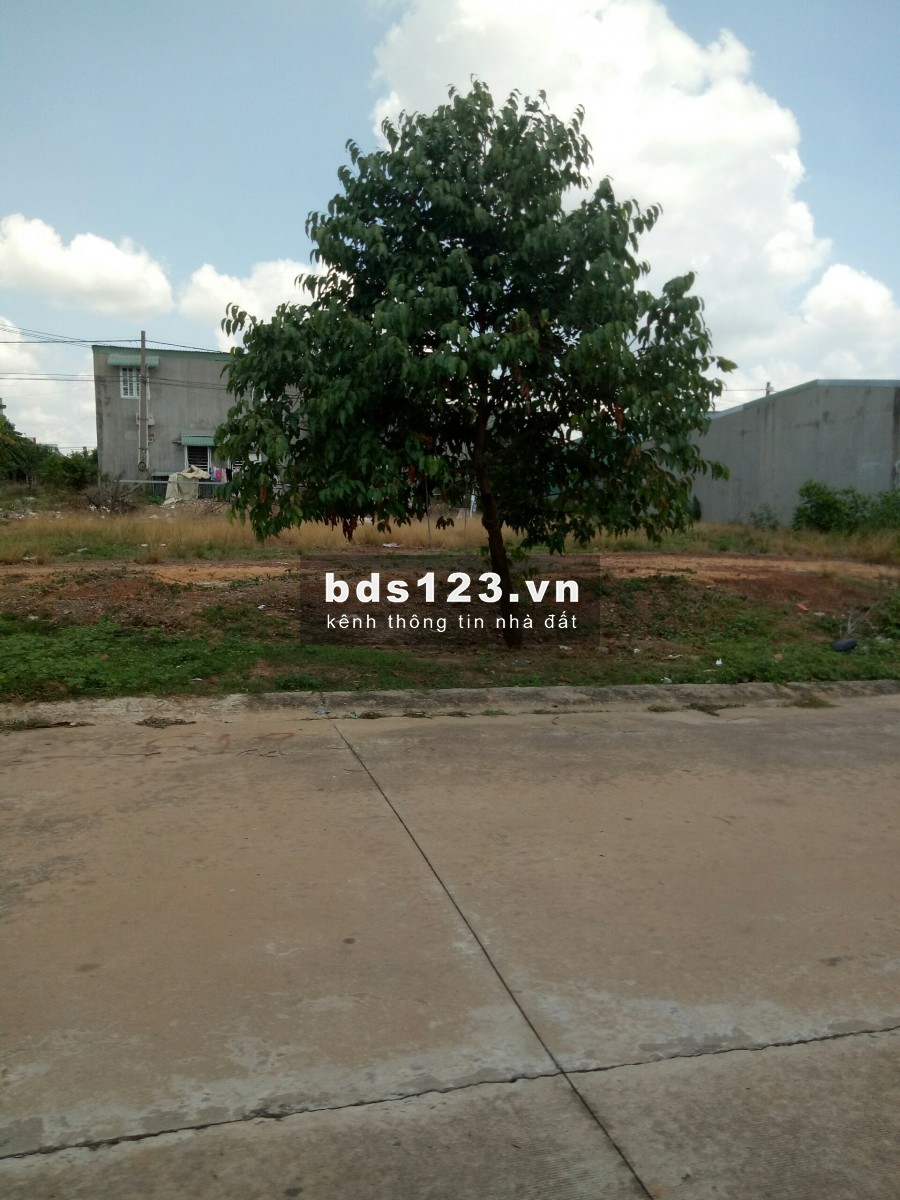 Đất chính chủ 1 thửa rộng 696m2 đã tách làm 4 sổ riêng, cần bán 820 triệu
