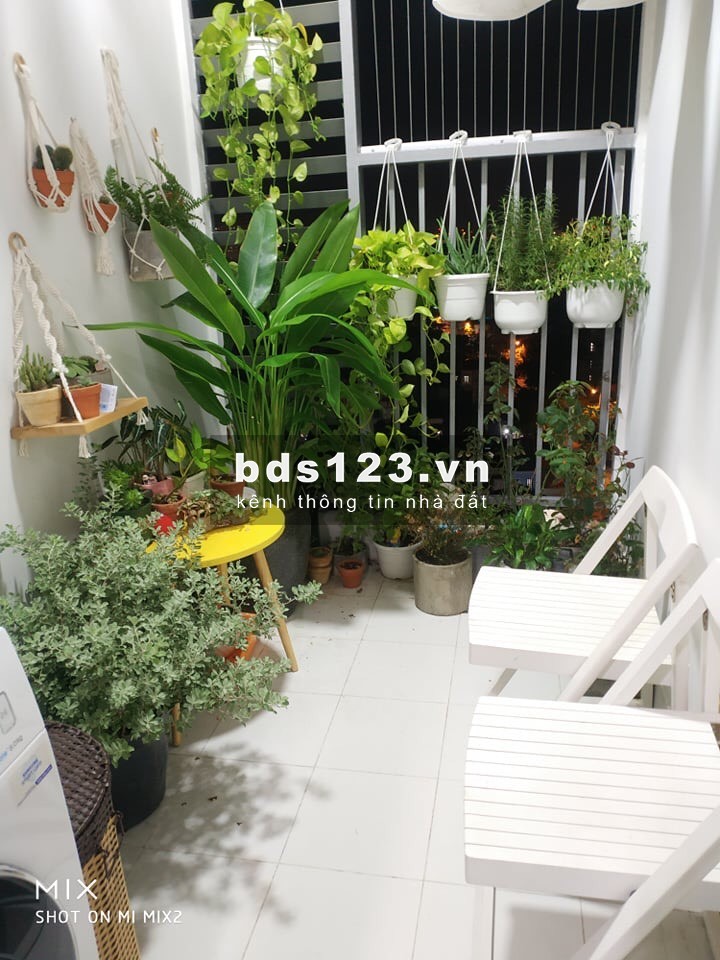 CHO THUÊ CĂN HỘ GIÁ TỐT DỰ ÁN QUẬN 12, GIÁ CHỈ TỪ 5,5TR