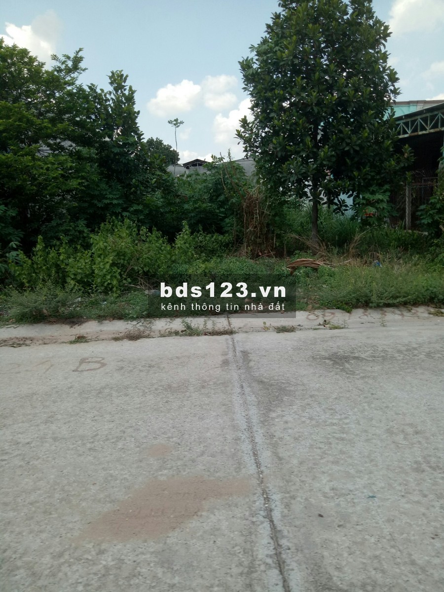 Cần bán 2 lô đất liền kề nhau ngang 14m, giá bán 700 triệu hỗ trợ vay ngân hàng