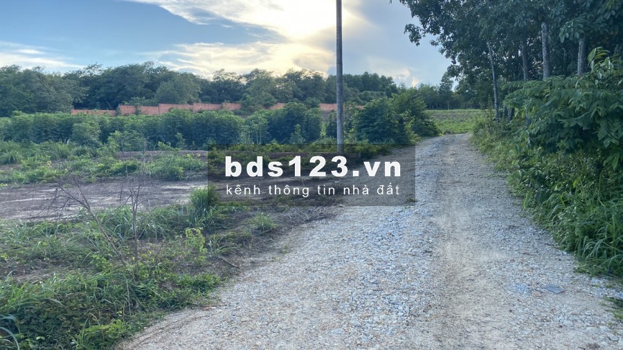 chính chủ bán đất long thành 1000m2 chỉ có 1tỷ sổ đẹp đường nhựa 7m