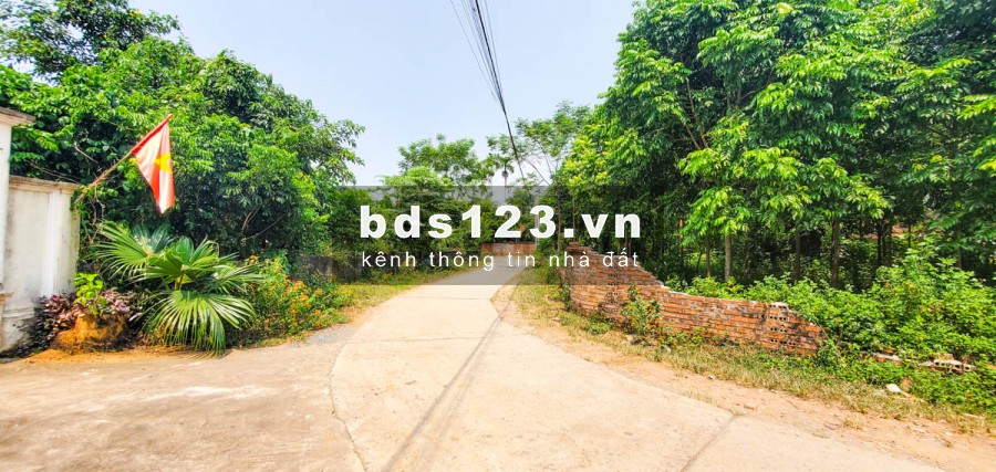 Đất giá rẻ Thạch Thất nằm sát trường Đại học Quốc Gia Hà Nội