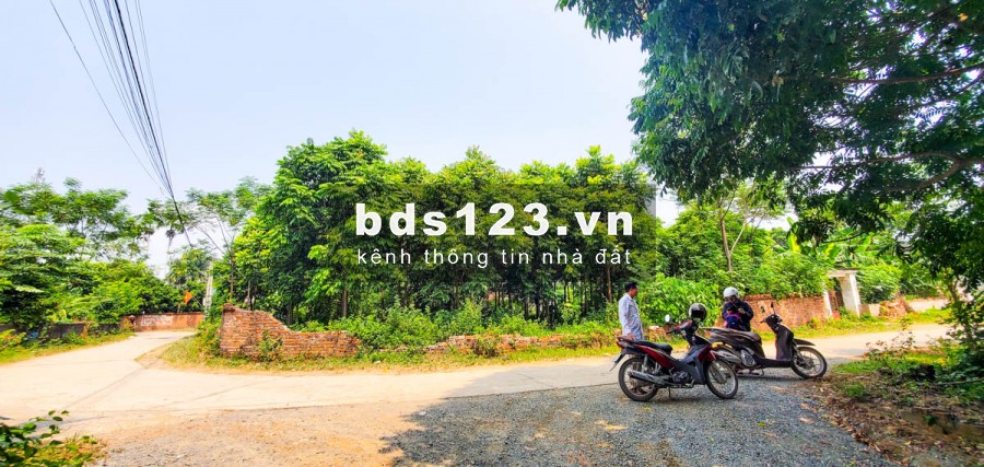 Đất giá rẻ Thạch Thất nằm sát trường Đại học Quốc Gia Hà Nội
