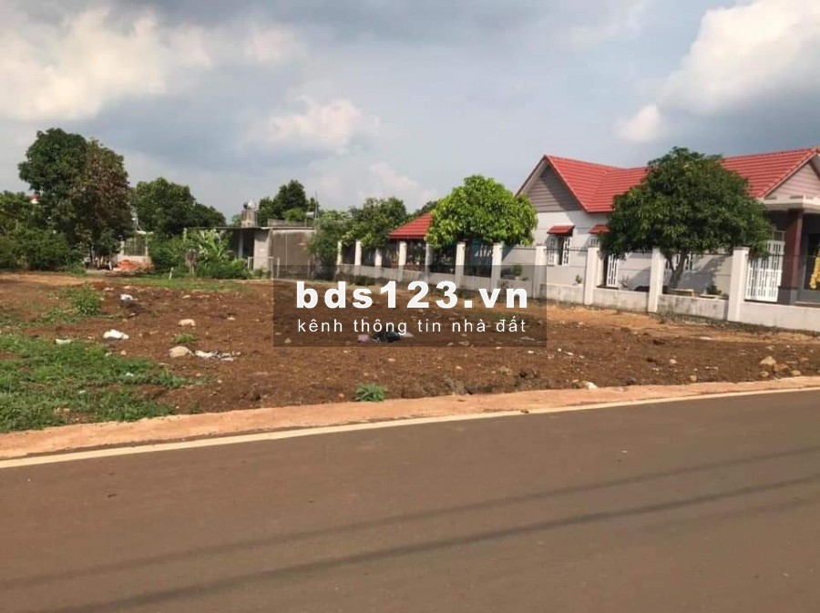 Kẹt tiền bán gấp 1000m2 đất thổ cư, mặt tiền đường nhựa thông 12m, sổ hồng chính chủ