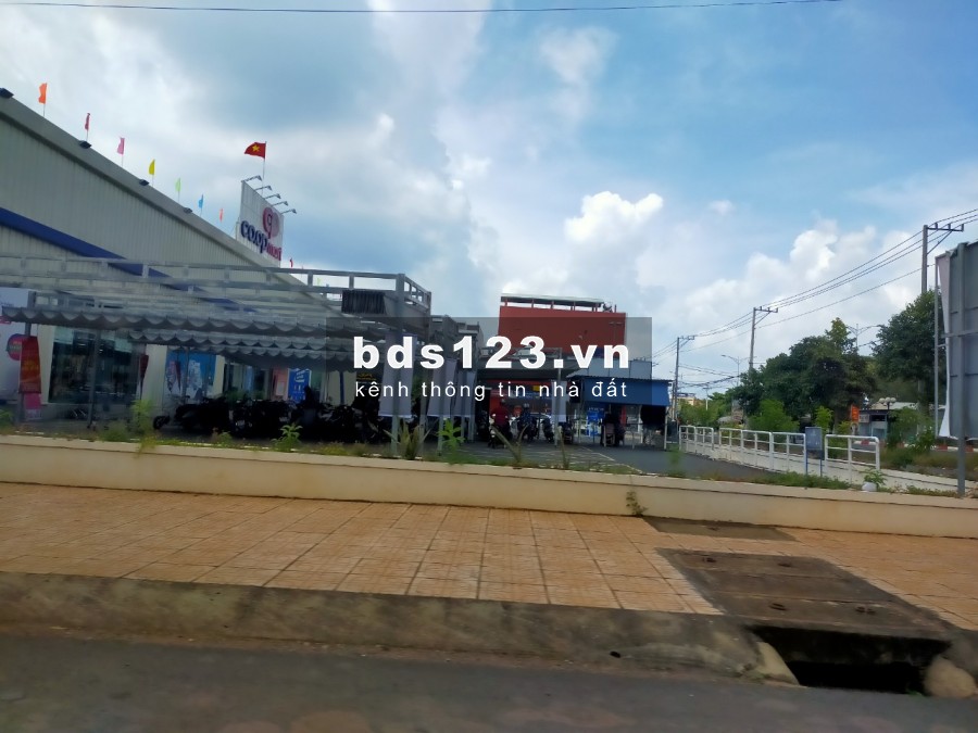 Kẹt tiền bán gấp 1000m2 đất thổ cư, mặt tiền đường nhựa thông 12m, sổ hồng chính chủ