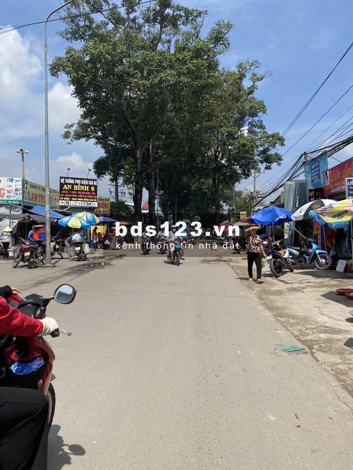 Kẹt tiền bán gấp 1000m2 đất thổ cư, mặt tiền đường nhựa thông 12m, sổ hồng chính chủ