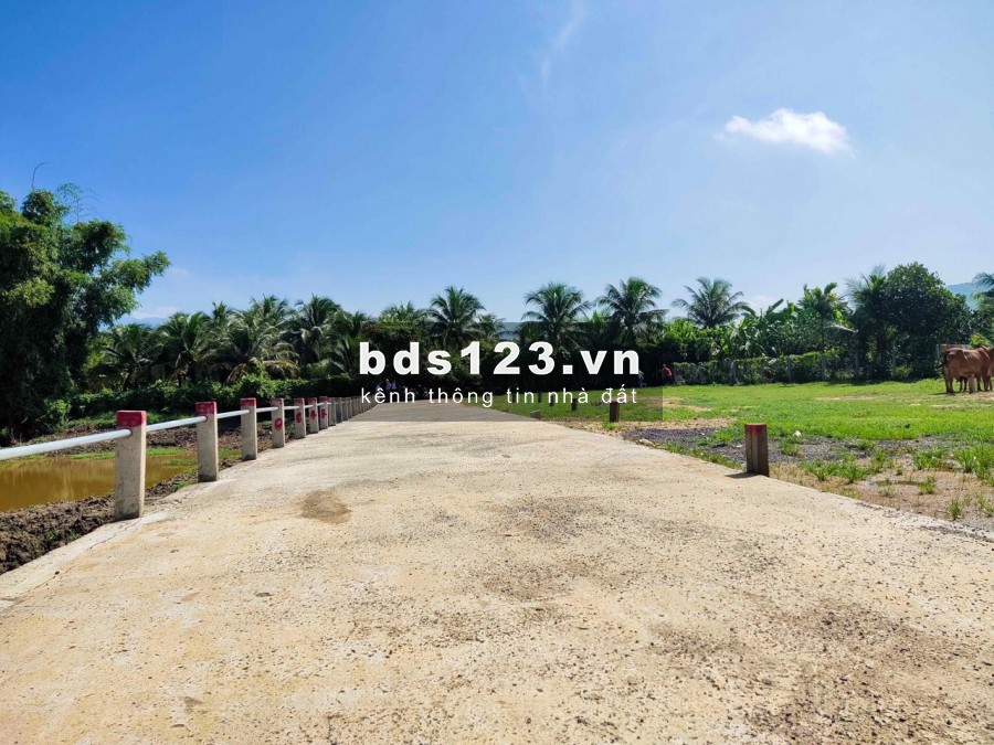 Siêu phẩm Mới Đất nền Sổ đỏ Ven đô TP. Nha Trang - chỉ từ 3xx/lô sắp ra mắt‼