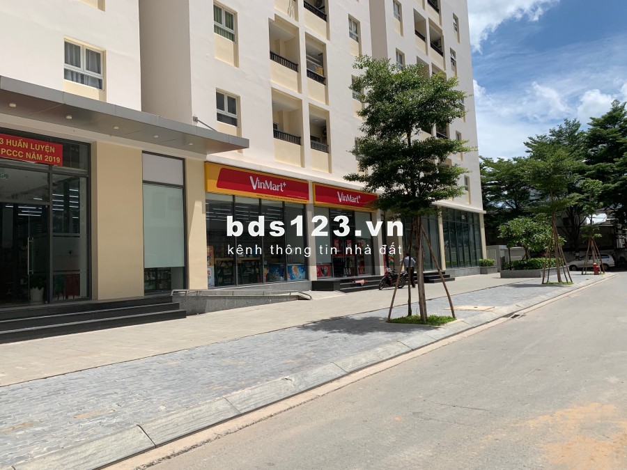 Cho thuê MBKD shophouse chung cư Cityland Park Hills nhiều vị trí đẹp