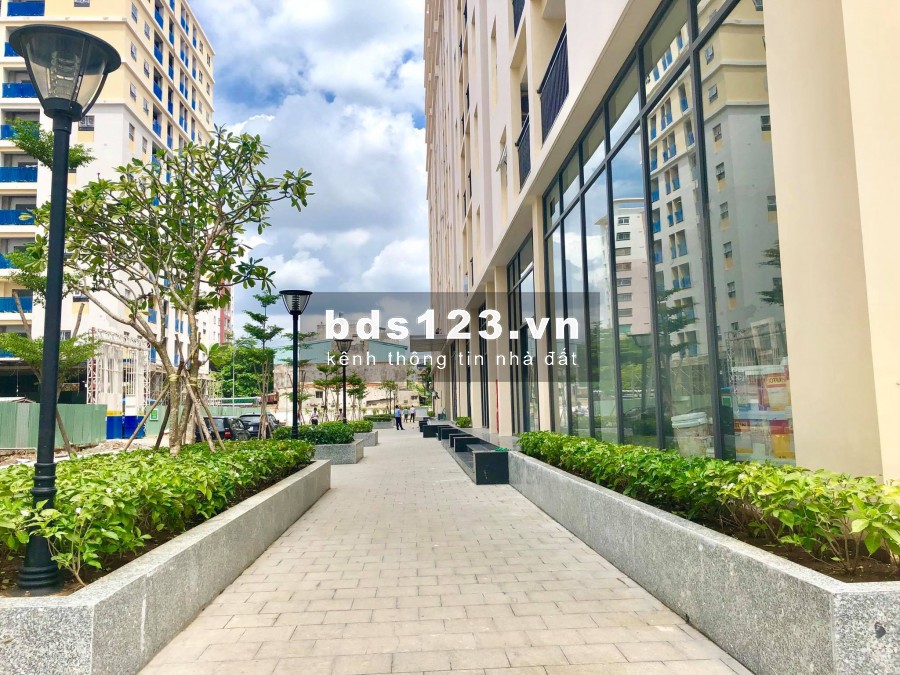Cho thuê MBKD shophouse chung cư Cityland Park Hills nhiều vị trí đẹp