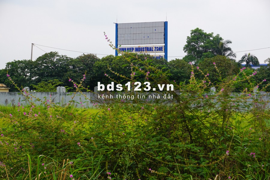 Bán đất công nghiệp mặt đường đôi KCN Ninh Hiệp, Gia Lâm, Hà Nội. Lô góc 3 MT, dt 15.000m2
