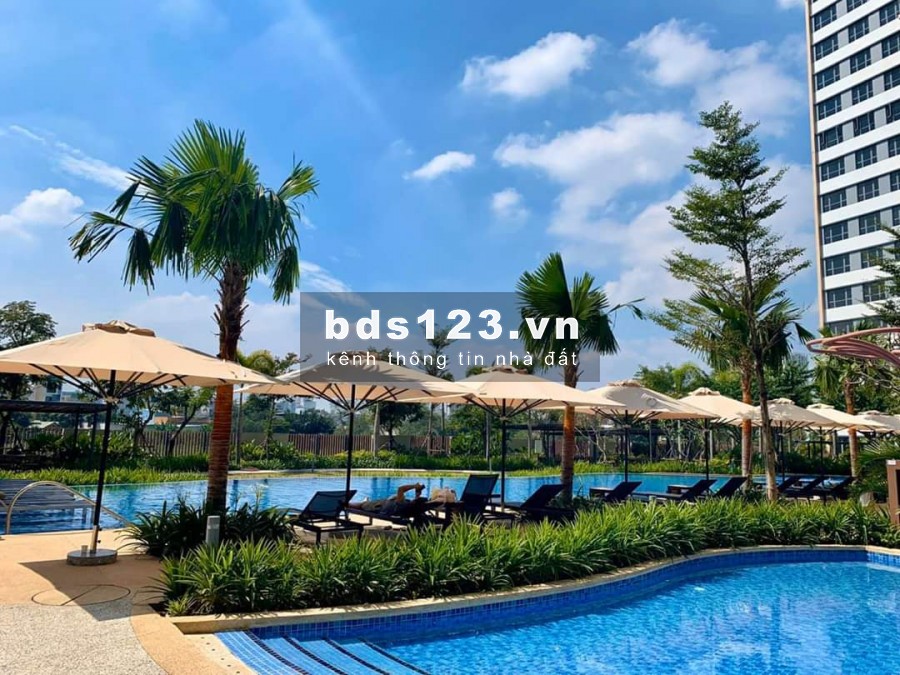 PALM HEIGHTS – TỔNG HỢP GIỎ HÀNG HIỆN TẠI CÁC CĂN ĐANG HOT NHẤT TRÊN THỊ TRƯỜNG VỚI GIÁ CỰC TỐT