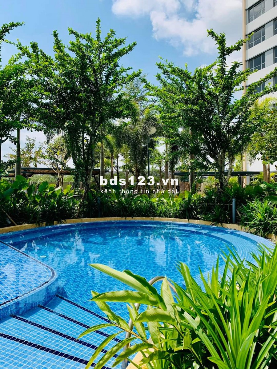 PALM HEIGHTS – TỔNG HỢP GIỎ HÀNG HIỆN TẠI CÁC CĂN ĐANG HOT NHẤT TRÊN THỊ TRƯỜNG VỚI GIÁ CỰC TỐT