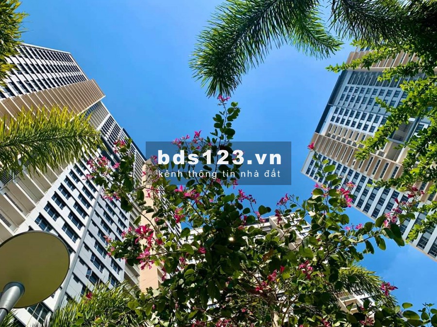 PALM HEIGHTS – TỔNG HỢP GIỎ HÀNG HIỆN TẠI CÁC CĂN ĐANG HOT NHẤT TRÊN THỊ TRƯỜNG VỚI GIÁ CỰC TỐT