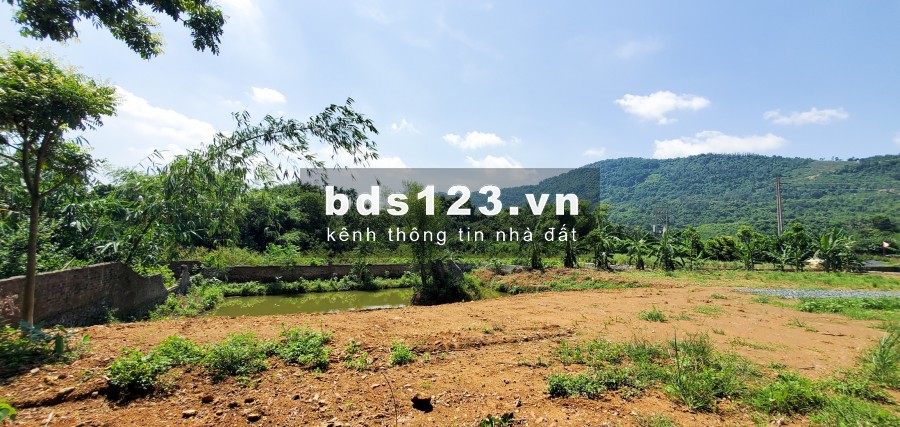 BÁN ĐẤT QUỐC OAI – HÒA THẠCH GẦN QUỐC LỘ 21,ĐƯỜNG 6M, GIÁ RẺ