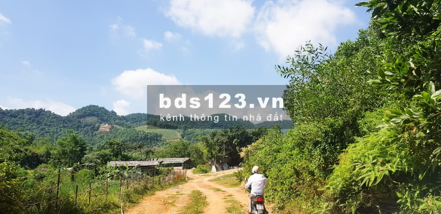 BÁN ĐẤT QUỐC OAI – HÒA THẠCH GẦN QUỐC LỘ 21,ĐƯỜNG 6M, GIÁ RẺ