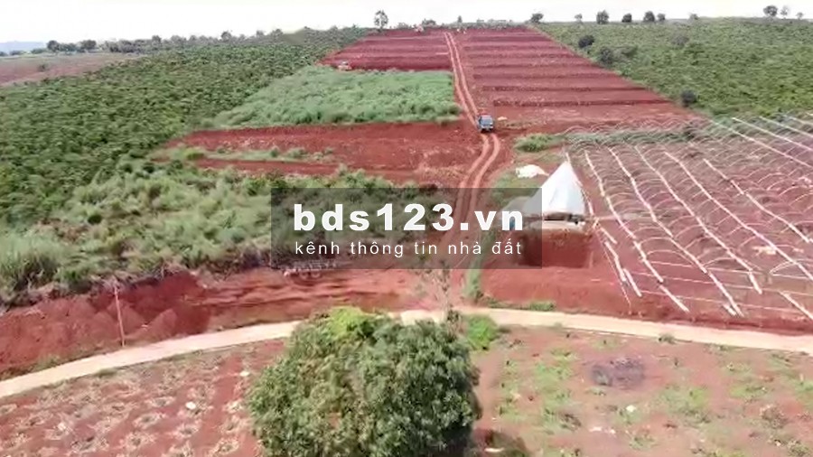 Đất nền cạnh Đà Lạt, cách trung tâm chỉ 25km, giá chỉ từ 1 triệu/m2