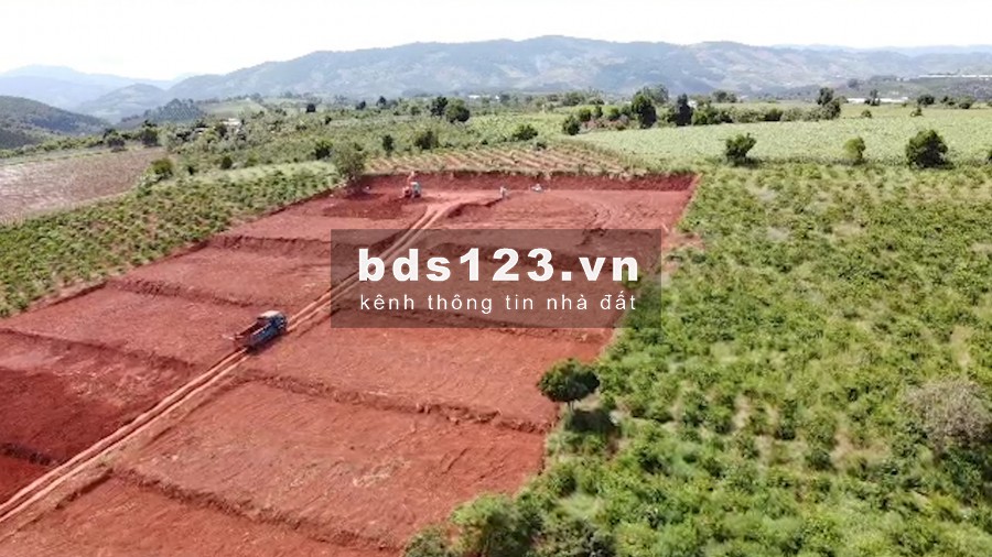 Đất nền cạnh Đà Lạt, cách trung tâm chỉ 25km, giá chỉ từ 1 triệu/m2