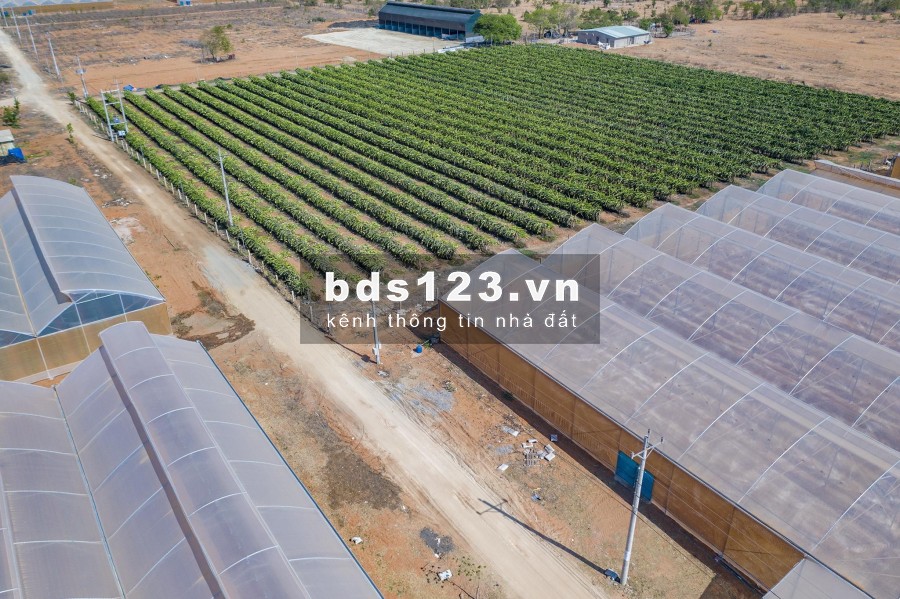 Đất sổ đỏ cách biển 4KM giá từ 50 ngàn/m2 Cách sân bay 30KM.