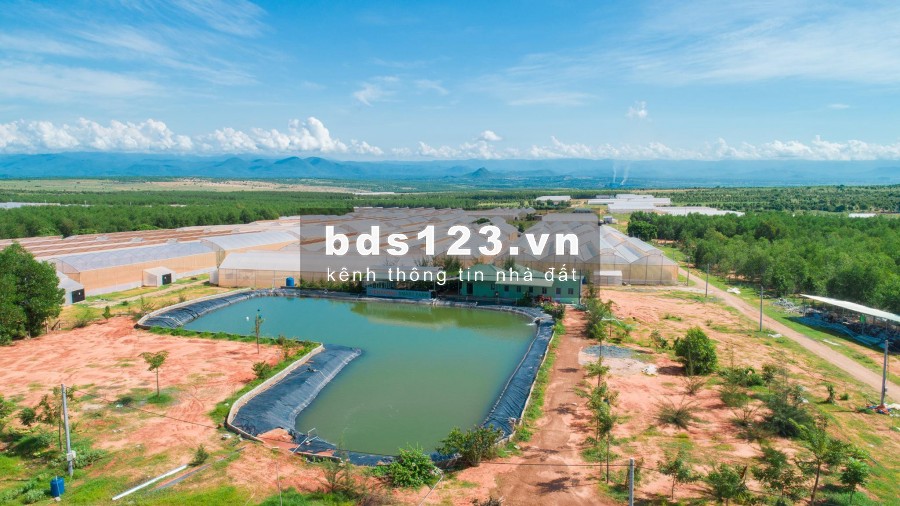 Đất sổ đỏ cách biển 4KM giá từ 50 ngàn/m2 Cách sân bay 30KM.