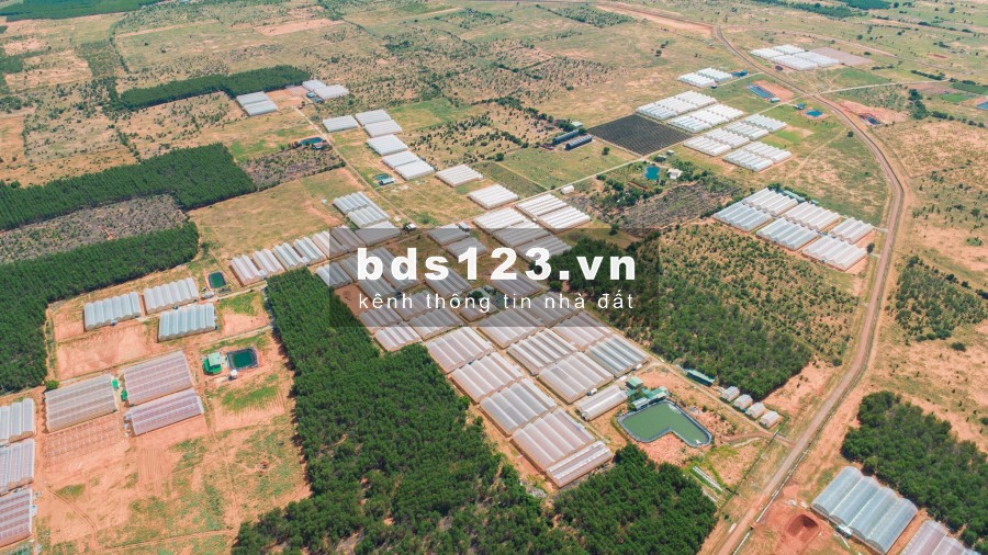 Đất sổ đỏ cách biển 4KM giá từ 50 ngàn/m2 Cách sân bay 30KM.