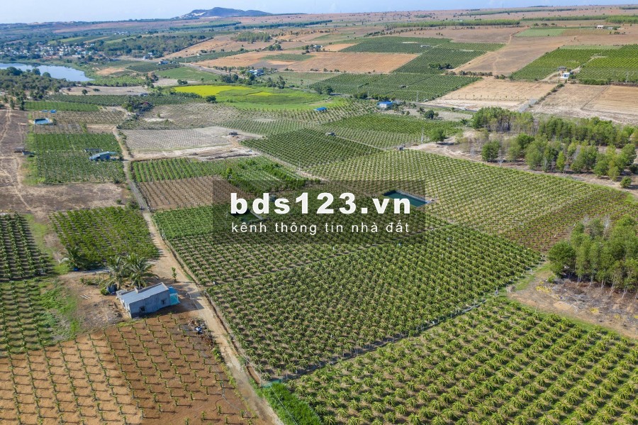 Đất sổ đỏ cách biển 4KM giá từ 50 ngàn/m2 Cách sân bay 30KM.