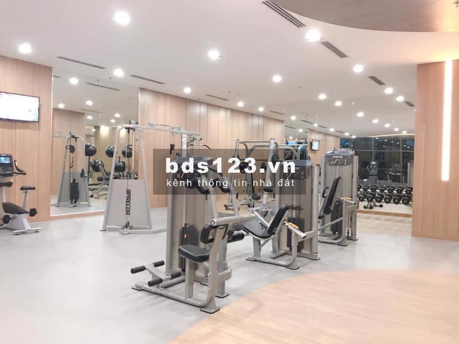 Cho thuê căn hộ 1PN full nội thất chung cư Republic Plaza đường Cộng Hòa giá chỉ 12tr/th
