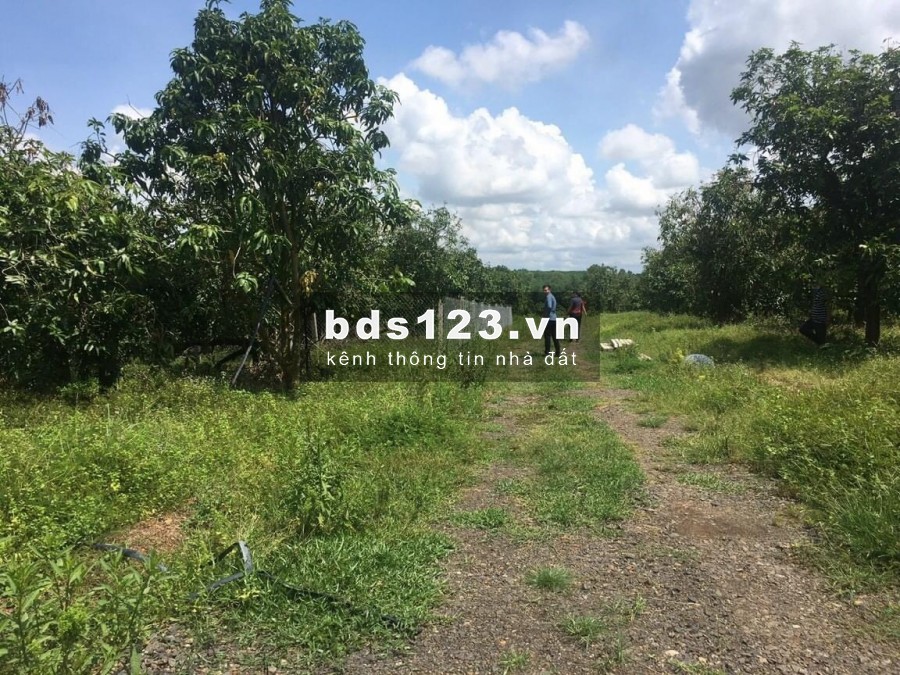Bán lô đất vườn hơn 1400m2 giá 410/sào ở Đồng Nai.