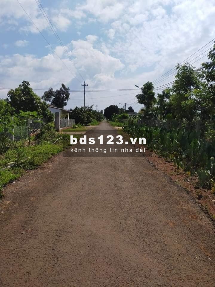 Bán lô đất vườn hơn 1400m2 giá 410/sào ở Đồng Nai.