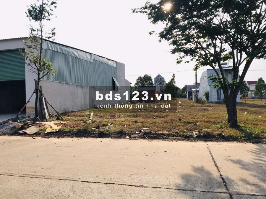 Vợ chồng cần bán gấp 600m2 đất thổ cư, sổ hồng mặt tiền Chợ Bình Dương