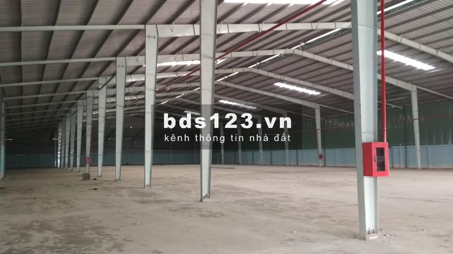 CẦN CHO THUÊ NHÀ XƯỞNG MỚI ĐƯỜNG HỒ VĂN LONG, BÌNH TÂN, DIỆN TÍCH 6.000M2, KHU LOGISTICS